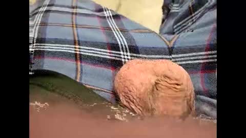 fartinmymouthplz online show from November 18, 3:45 am