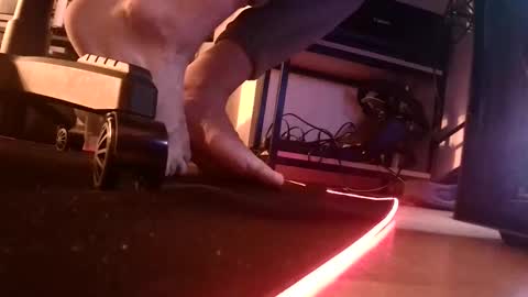 feetishman91 online show from March 27, 6:18 pm