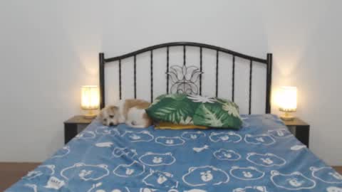 kaylee online show from February 11, 11:22 pm