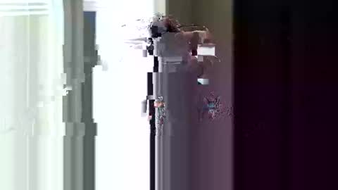 Snapshot of fer28639 chatting on April 11, 4:44 pm fer28639 online show from April 11, 4:44 pm