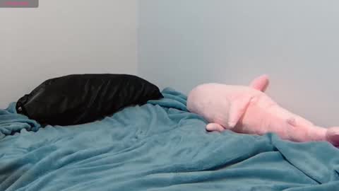 FE fee online show from January 12, 6:39 am