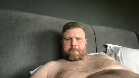fin bear dom online show from May 23, 4:11 pm