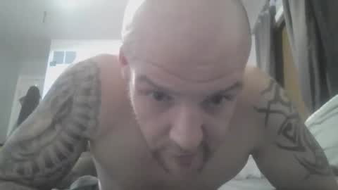 Nate online show from February 2, 6:26 am