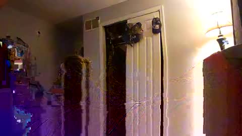 Nate online show from October 11, 6:45 am