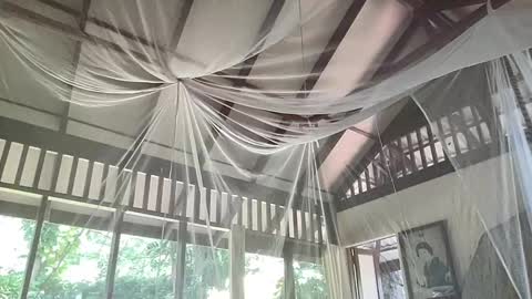 fluffy_bunnyxxx online show from February 6, 5:35 am