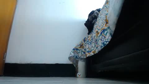 franklinm_7777 online show from November 12, 4:57 am