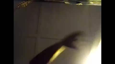 Warwick online show from October 28, 7:34 am