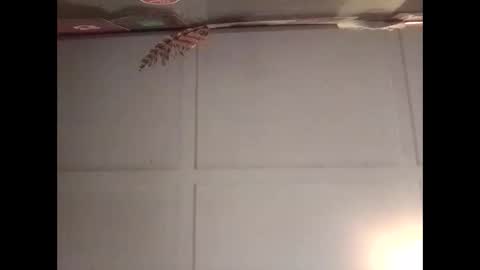 Warwick online show from October 30, 11:16 pm