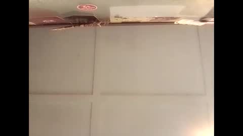 Warwick online show from November 10, 2:43 am