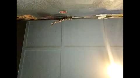 Warwick online show from December 1, 6:51 am