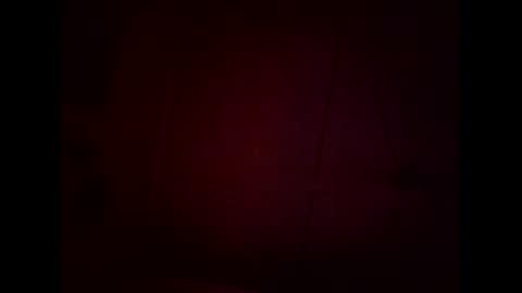 Warwick online show from February 8, 11:35 am