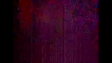 Warwick online show from February 9, 11:36 am