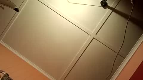 Snapshot of fucmebudoo chatting on July 13, 4:37 am Warwick online show from July 13, 4:37 am