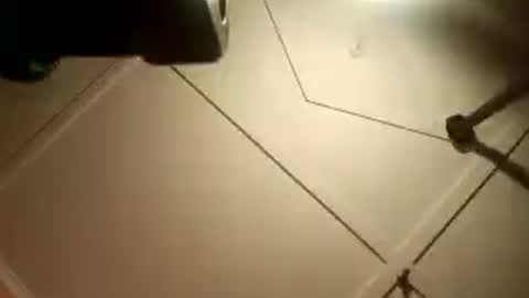 Snapshot of fucmebudoo chatting on August 2, 2:32 am Warwick online show from August 2, 2:32 am