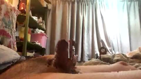 funxuriate online show from March 1, 5:53 am