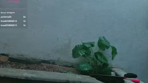 gaviluc_ online show from July 28, 3:21 pm