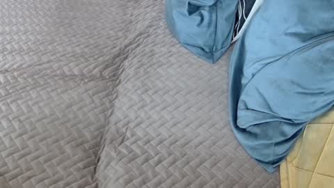 Melissa online show from February 17, 11:29 am