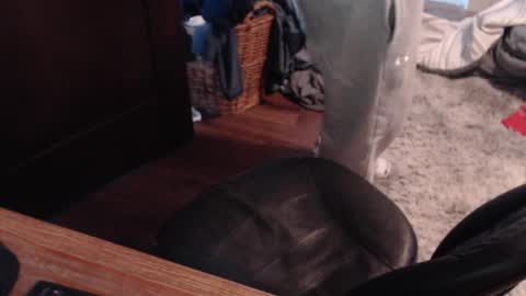 Snapshot of gethoggy chatting on January 25, 4:35 pm gethoggy online show from January 25, 4:35 pm