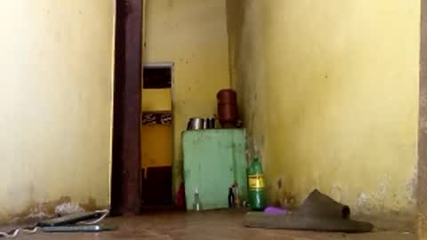 Gaby online show from January 15, 6:00 pm