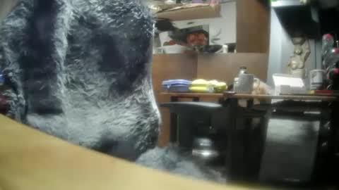 giovanne1 online show from December 8, 6:22 am