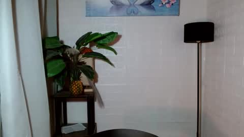 Snapshot of girlwhobelieveinmagic chatting on January 28, 4:18 am Callmenor online show from January 28, 4:18 am