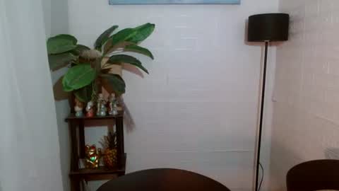 Snapshot of girlwhobelieveinmagic chatting on February 5, 9:46 am Callmenor online show from February 5, 9:46 am