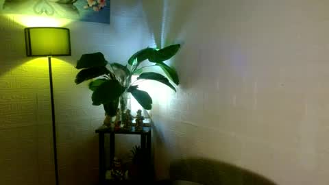 Snapshot of girlwhobelieveinmagic chatting on February 11, 10:04 am Callmenor online show from February 11, 10:04 am