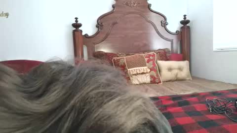 Snapshot of goddess_xandra_xquisite chatting on March 19, 1:26 pm Xandra The Goddess online show from March 19, 1:26 pm