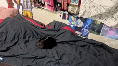 Amy online show from November 7, 8:42 pm