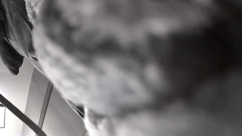 Get US to 1000 you wont be disapointed online show from December 10, 6:22 am