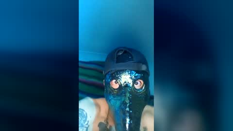 gservin908700634 online show from July 7, 12:09 pm