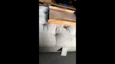 gt79802068 online show from November 22, 12:04 pm