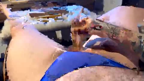 gt79802068 online show from January 11, 6:07 am