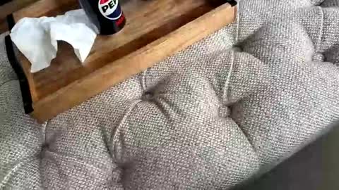 gt79802068 online show from April 19, 12:48 pm