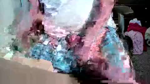 gtr345 online show from April 7, 6:03 am