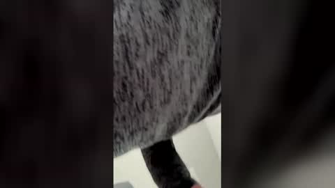 Ricko online show from March 6, 5:53 pm