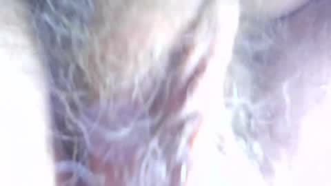 Snapshot of hagridthehorrible chatting on April 7, 11:32 am hagridthehorrible online show from April 7, 11:32 am