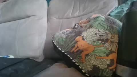 handncocknocum online show from January 6, 8:51 am