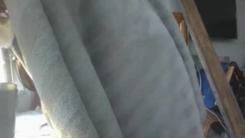 handncocknocum online show from January 16, 9:02 am