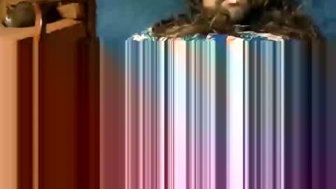 handsolosm online show from October 19, 9:54 am