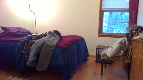 Hardy-Har online show from December 1, 10:26 pm