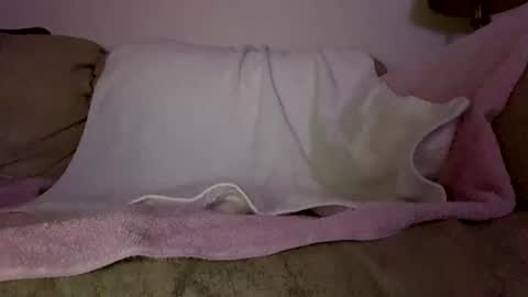 Slim West Cox online show from February 11, 6:51 am