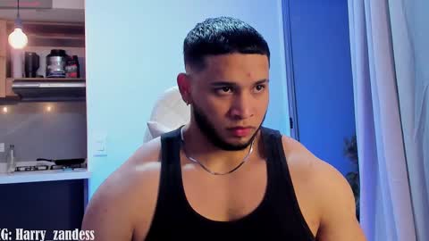 Harry Zandes online show from February 13, 4:22 am