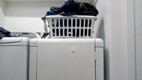 hdrsh08 online show from April 15, 4:41 am