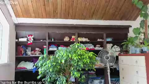 Anastasiia  online show from June 21, 9:01 am