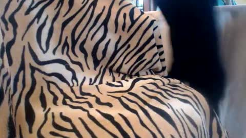 Helvell online show from February 13, 10:44 am