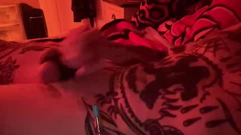 hogboneman online show from February 9, 4:16 am