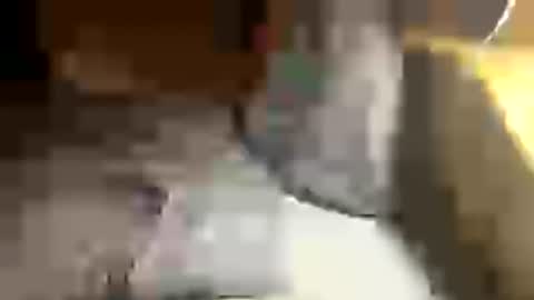 Snapshot of holder012 chatting on June 29, 10:32 pm Joe online show from June 29, 10:32 pm