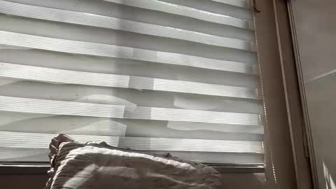 holly_wyn online show from March 14, 1:55 am