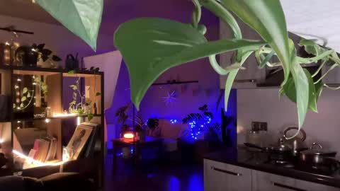 dori not holy get my tg channel with link from description under last photo online show from April 20, 7:48 pm